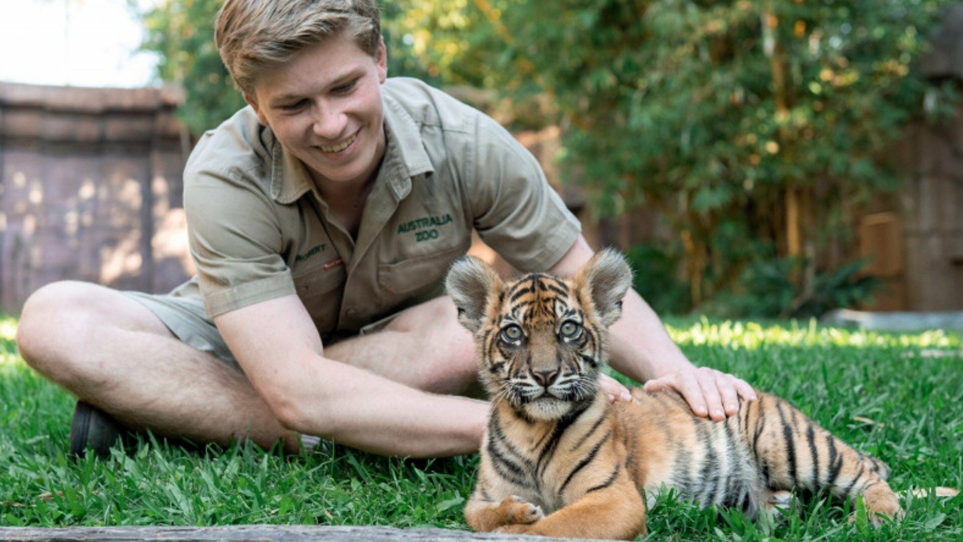 A Família Irwin : Três Tigres