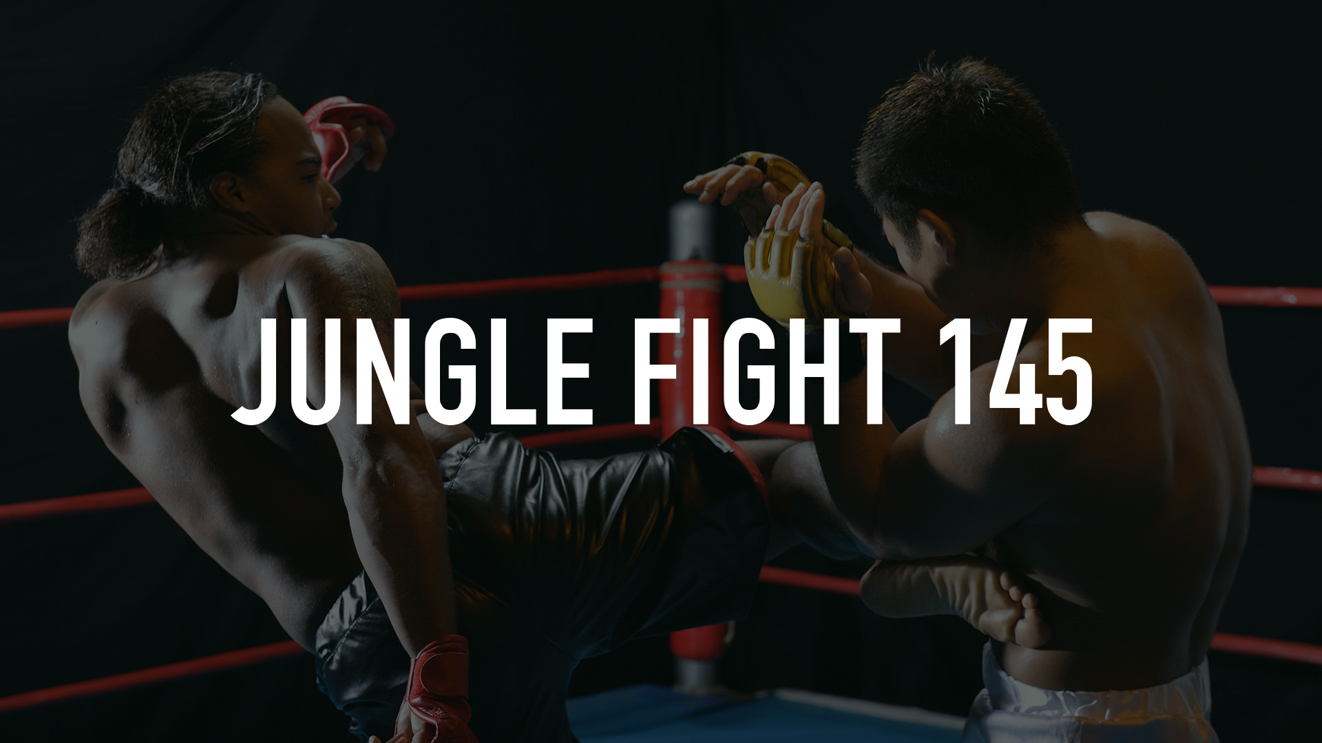 Jungle Fight 145