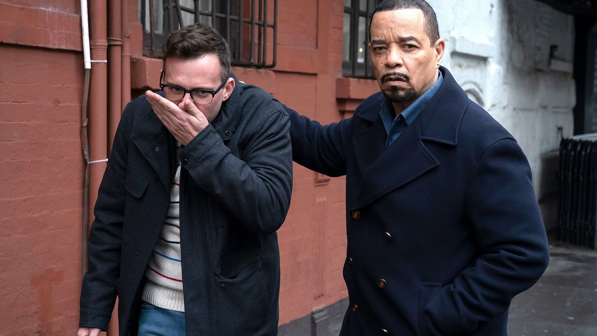 Law & Order: Special Victims Unit : Fatores Desconhecidos