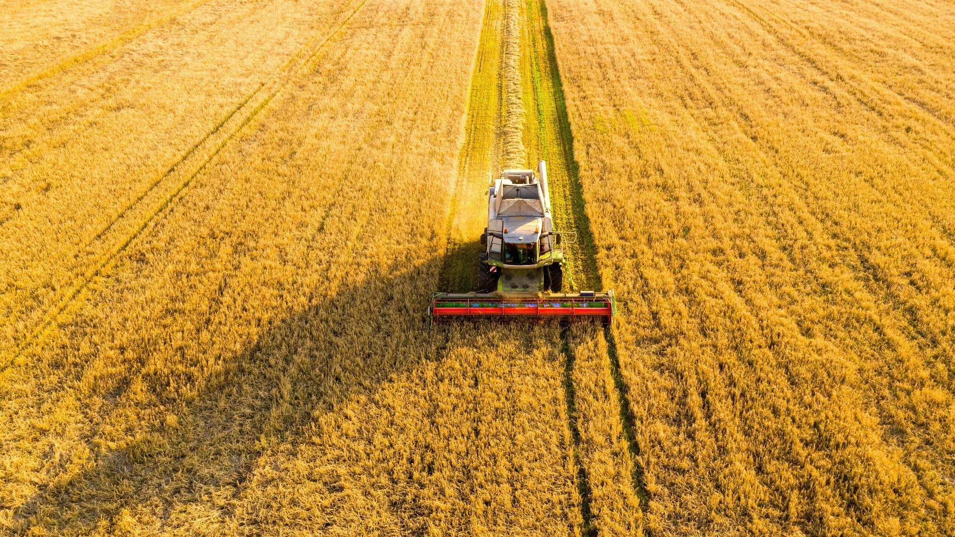 Canal Rural Entrevista