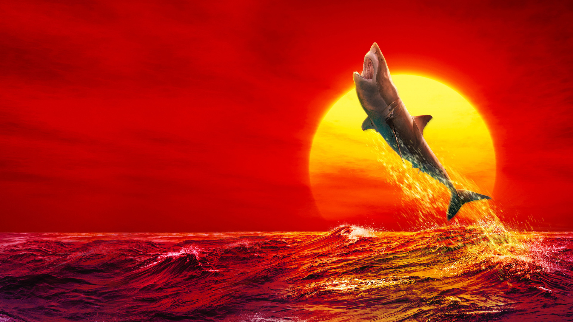 Tubarões Voadores: A Última Fronteira