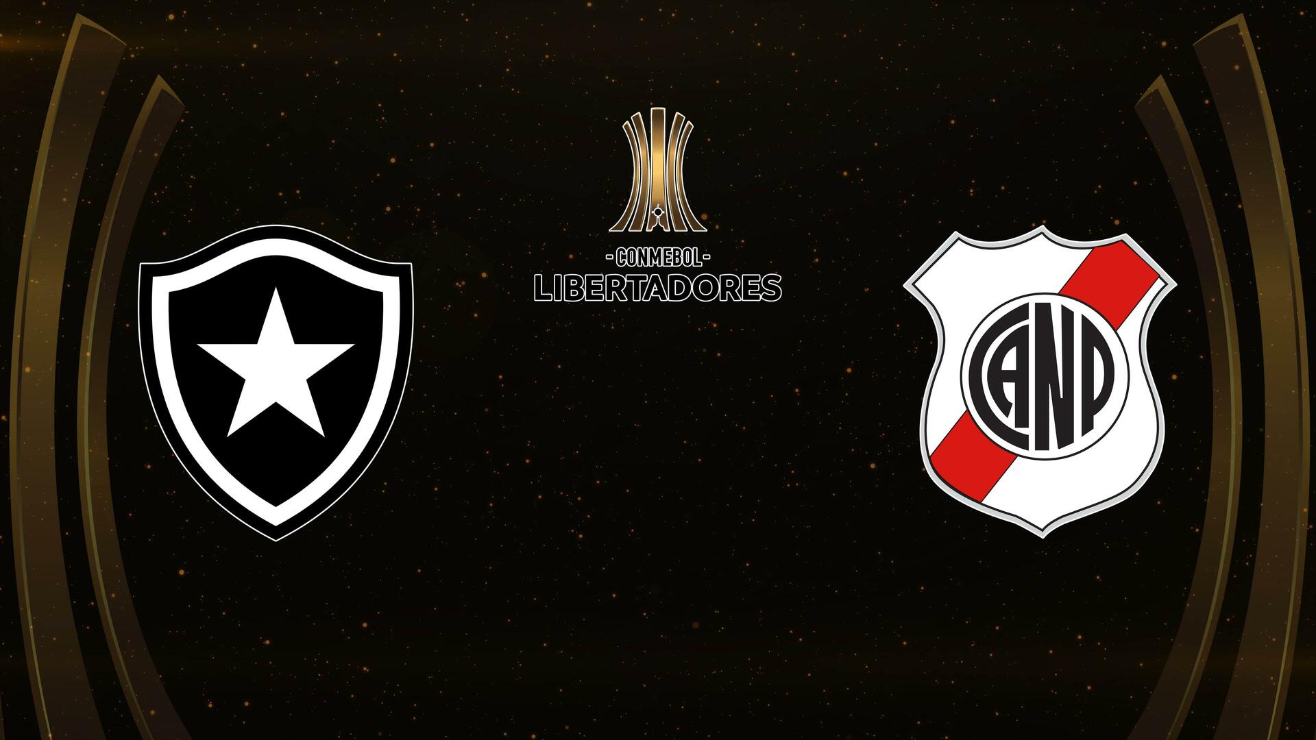 Botafogo x Nacional Potosí - Copa Libertadores da América : Botafogo x Nacional Potosí