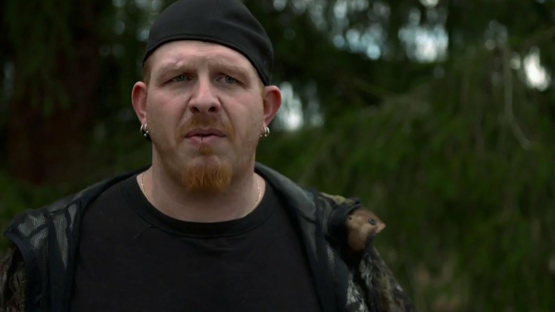 Destiladores : Aposta de Risco