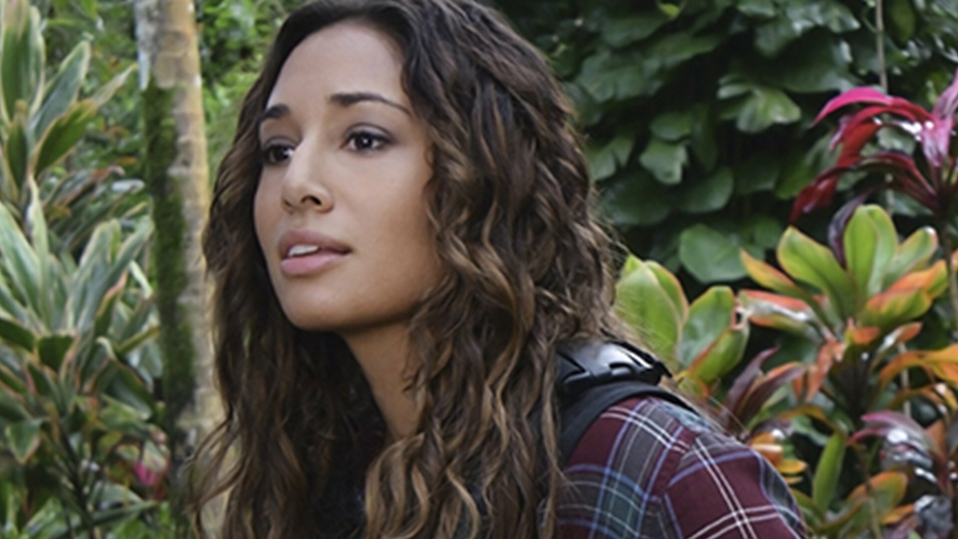 Hawaii Five-0 : Kama'oma'o, Ka 'Aina Huli Hana