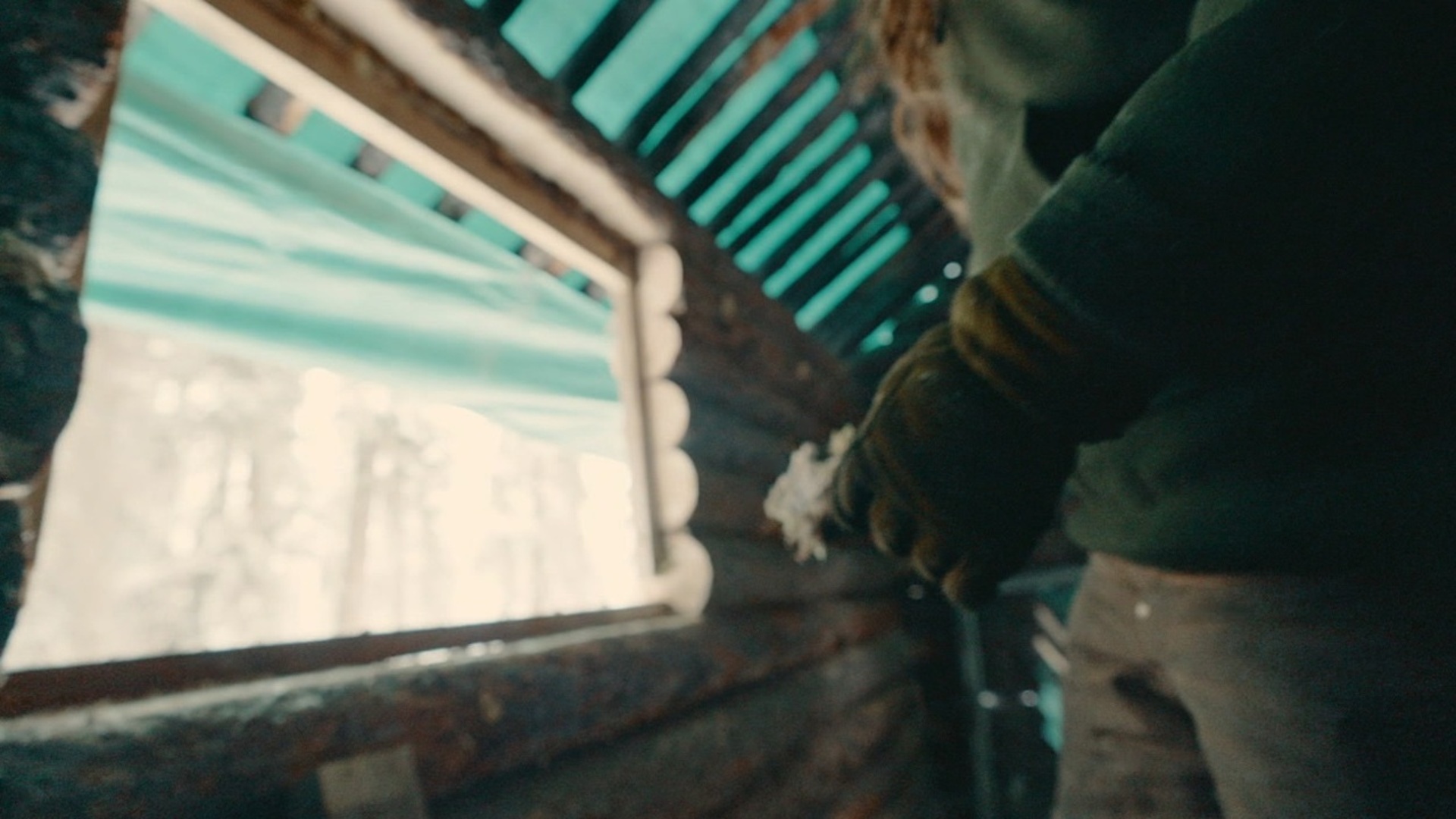 Sobrevivendo nas Florestas do Norte : O Aperto do Inverno