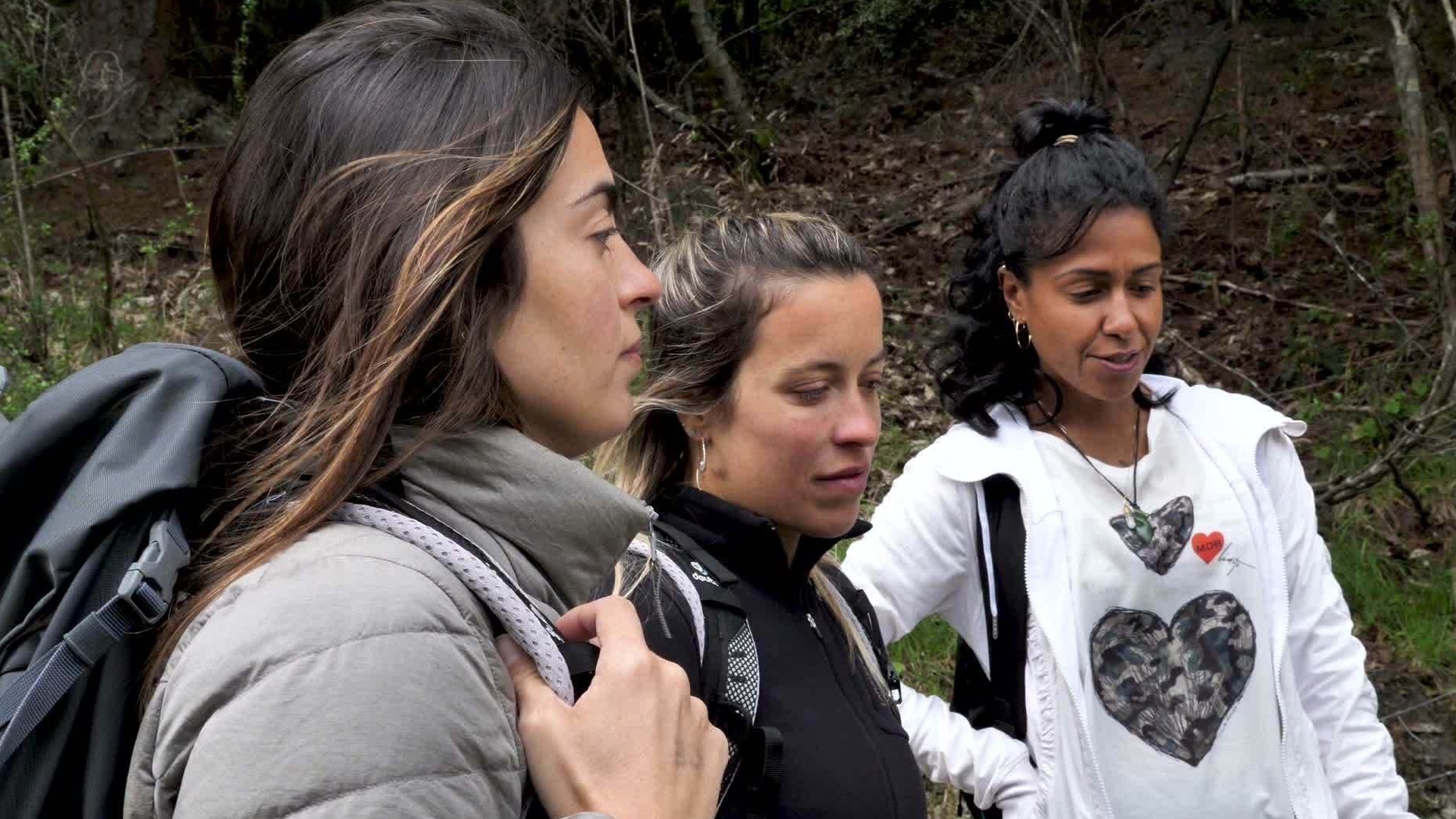 Trilhas e Travessias : A Cesta dos Sonhos em Queenstown