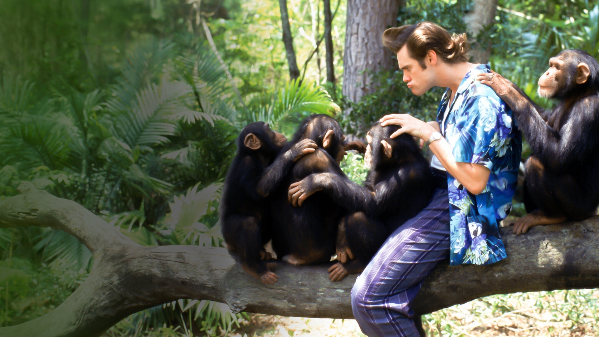 Ace Ventura 2 - Um Maluco na África