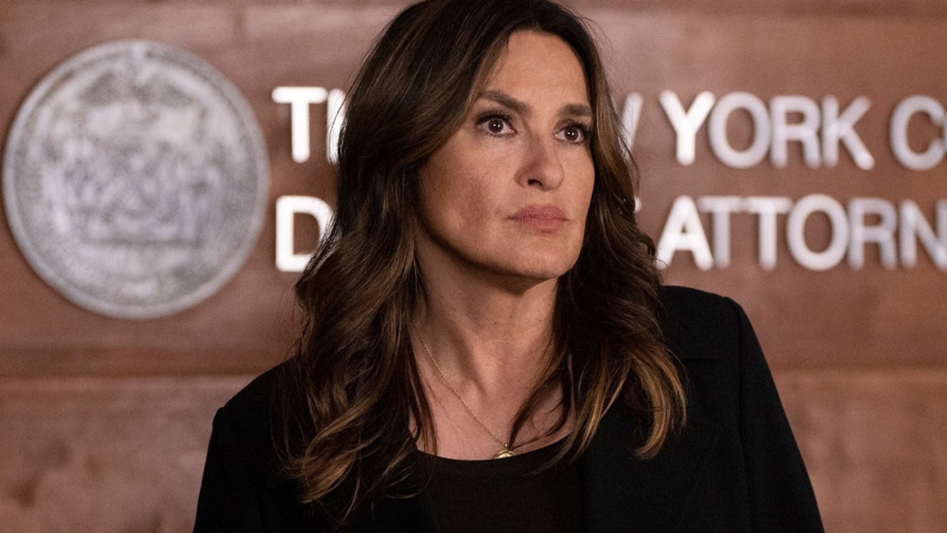 Law & Order: Special Victims Unit : Dever com a Esperança