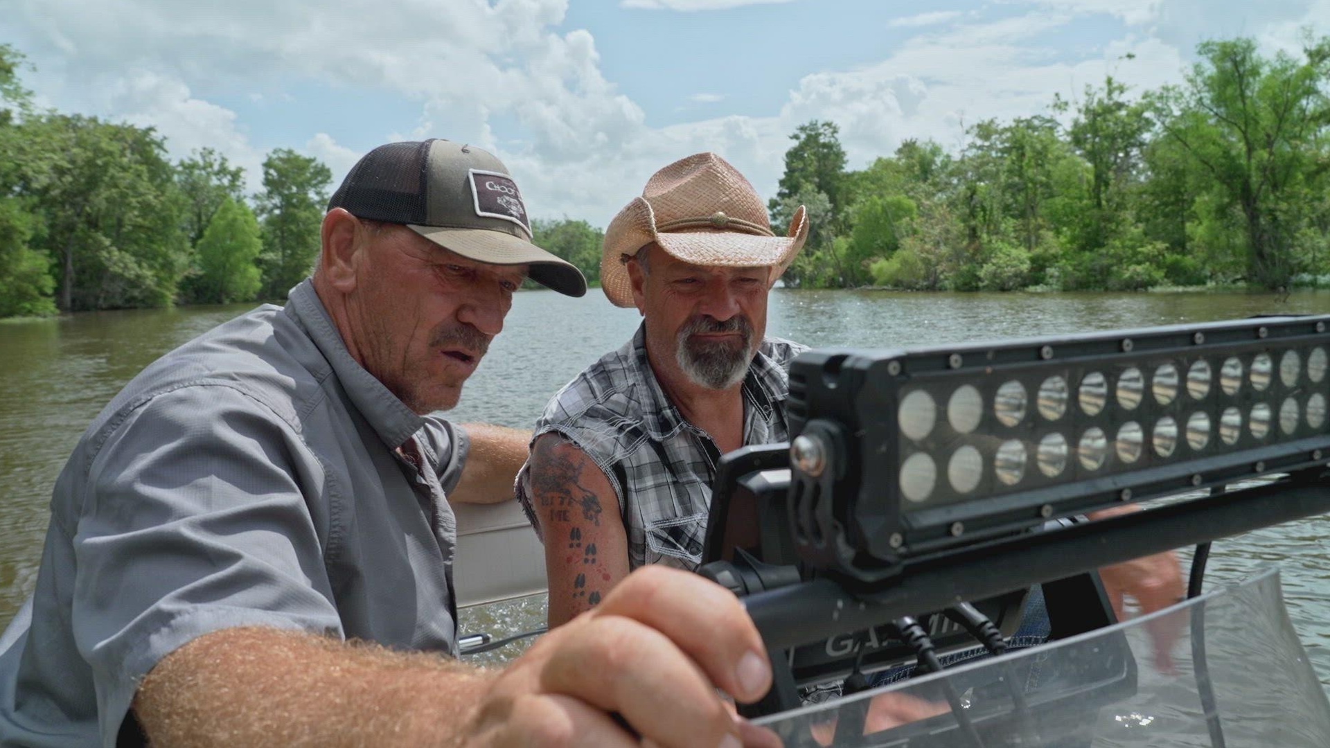 Mistérios do Pântano : O que Jaz por Baixo