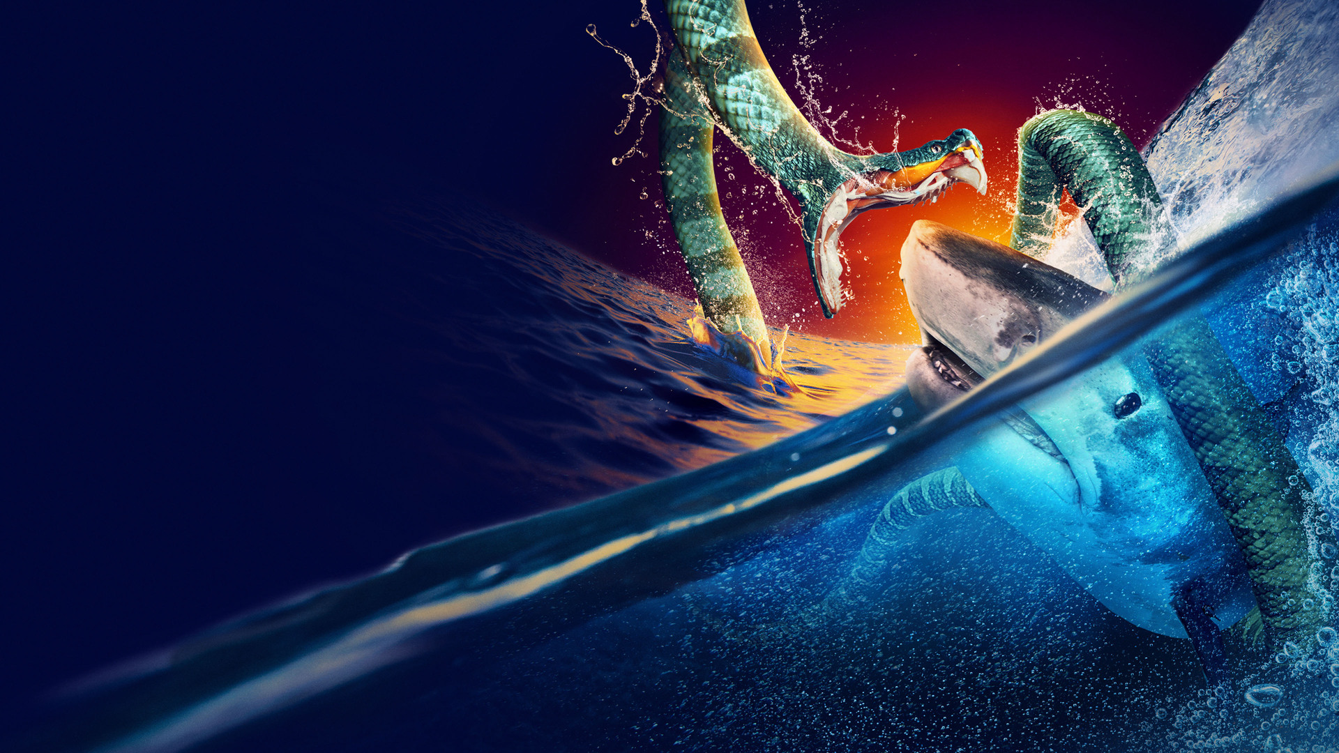 Tubarões vs Serpentes - A Batalha das Mordidas