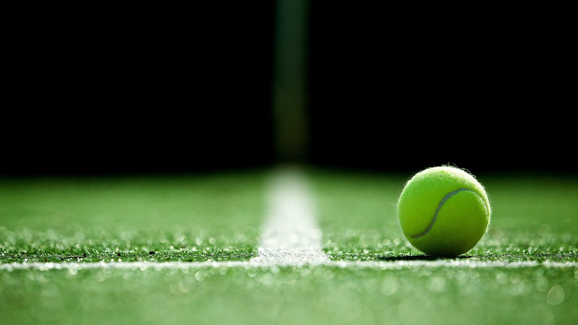 Aberto de Halle de Tênis Masculino 2026