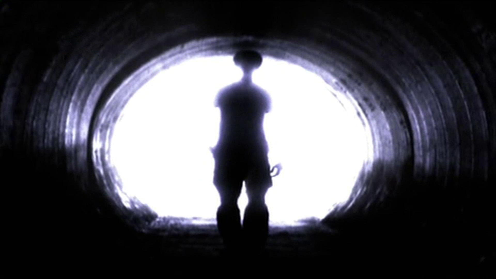 Alienígenas do Passado : Reprodutores Alienígenas