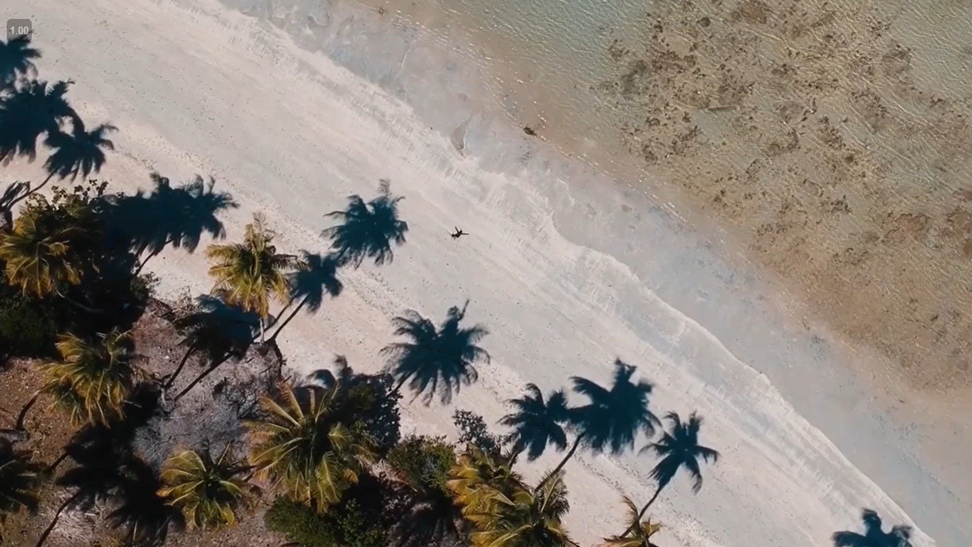 Errei : Boipeba
