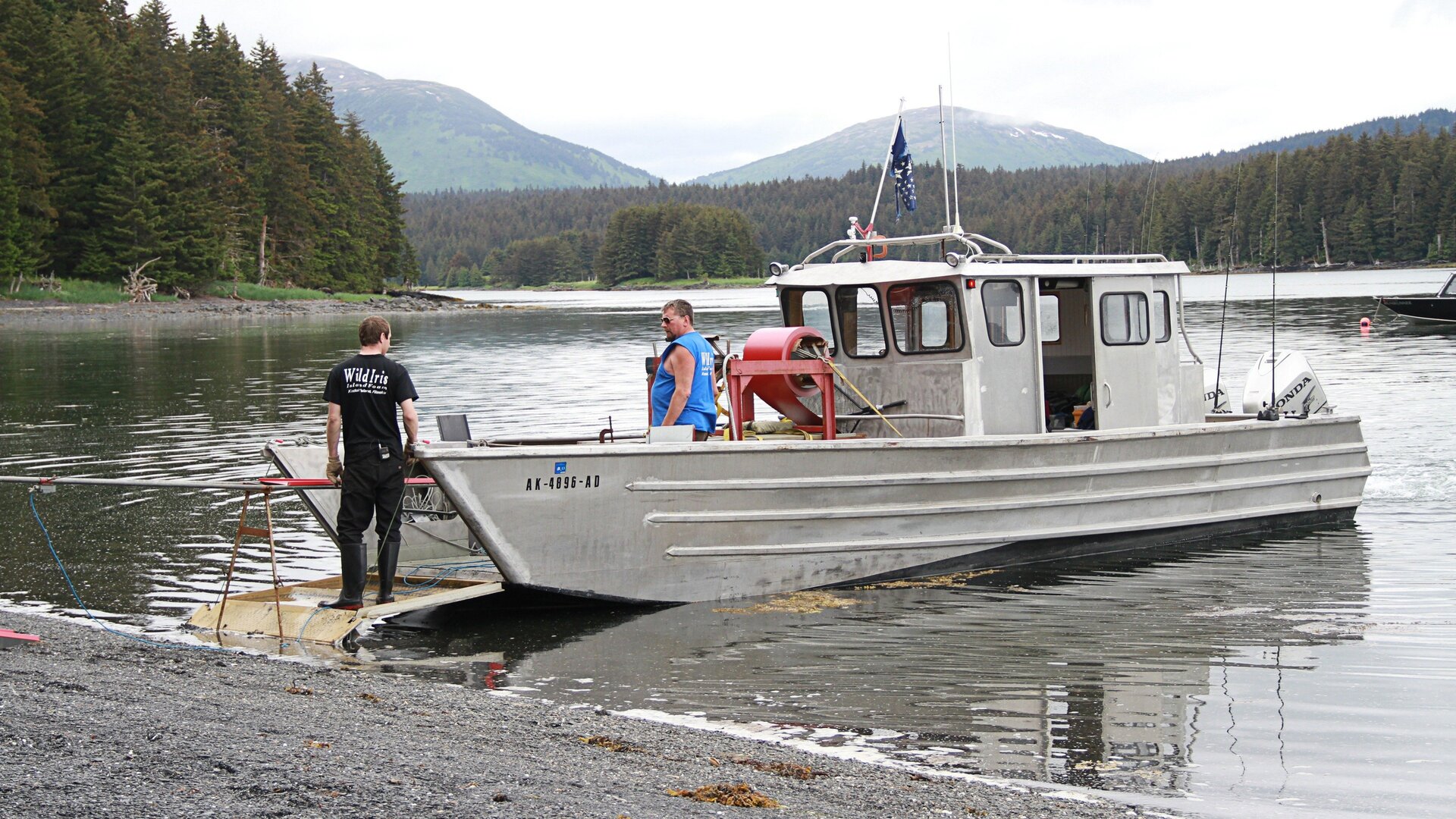 Construções no Alasca : Esquilos em Ação