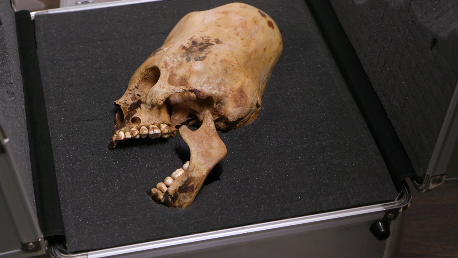 Alienígenas do Passado : In Loco - Evidências de Vida Alienígena