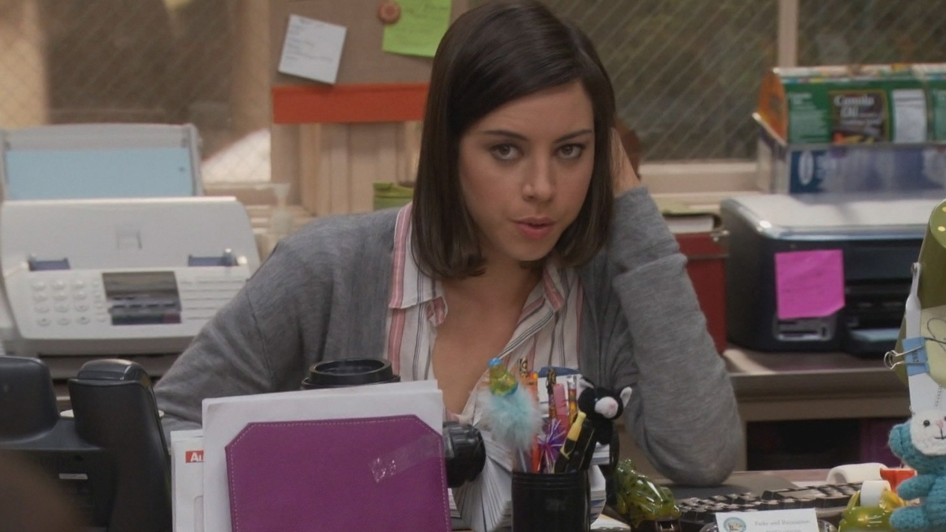 Parks and Recreation : A Garota do Retorno