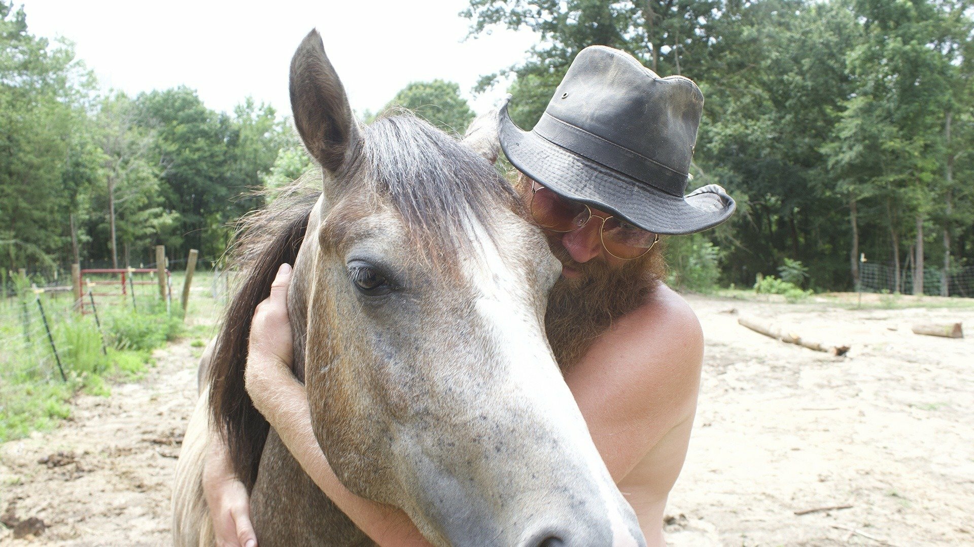 Vida Remota : São Cavalos Lindos