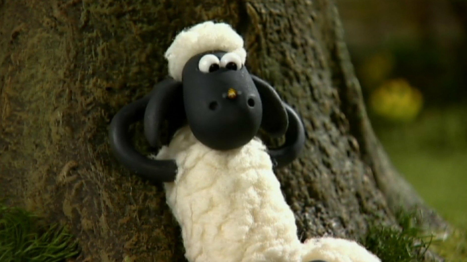 Shaun, o Carneiro : O Zumbido das Abelhas