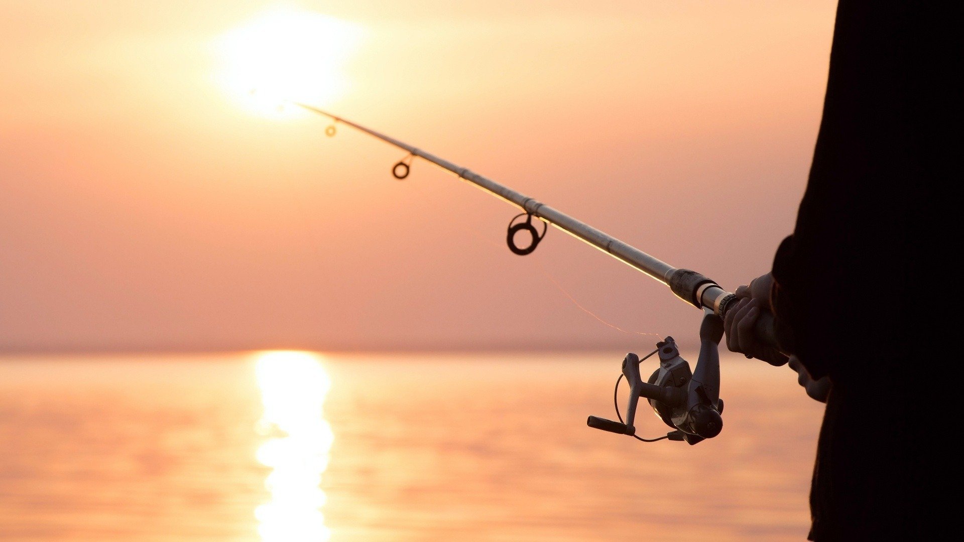 Slow Fishing