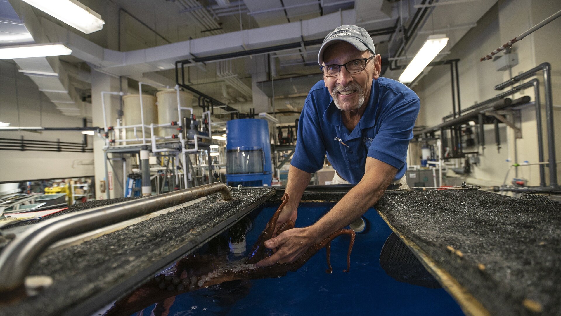 O Incrível Mundo Animal : Formigas se Afogam?