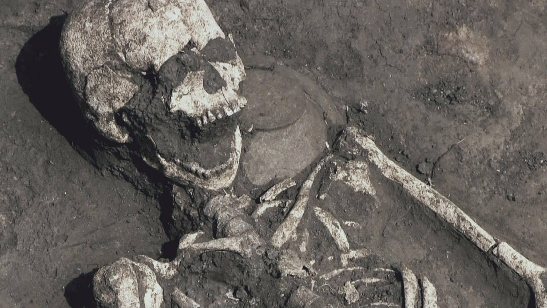 Desvendando o Passado : Guerra dos Antepassados