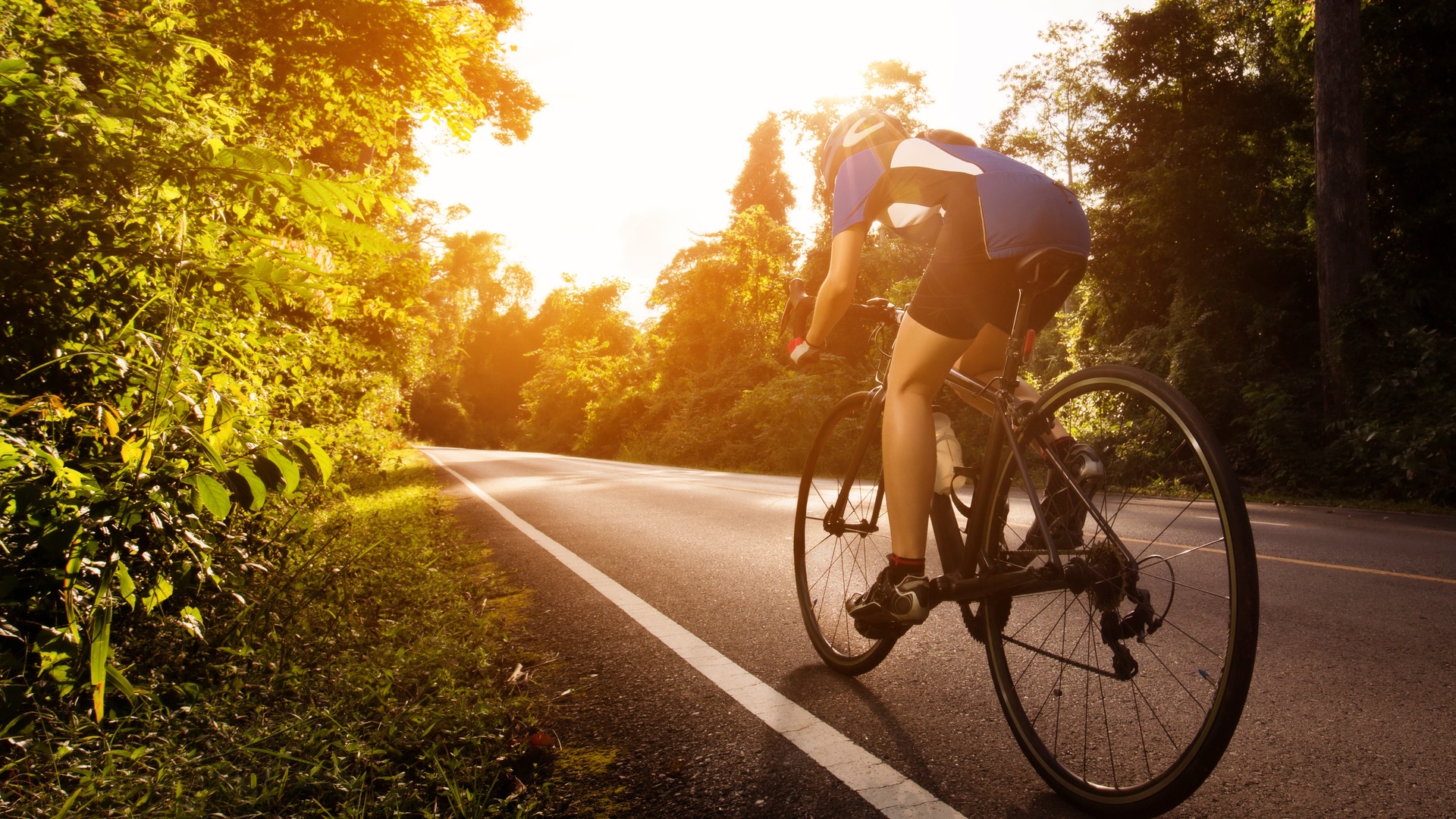 T100 Triathlon World Tour Highlights : Compacto - São Francisco