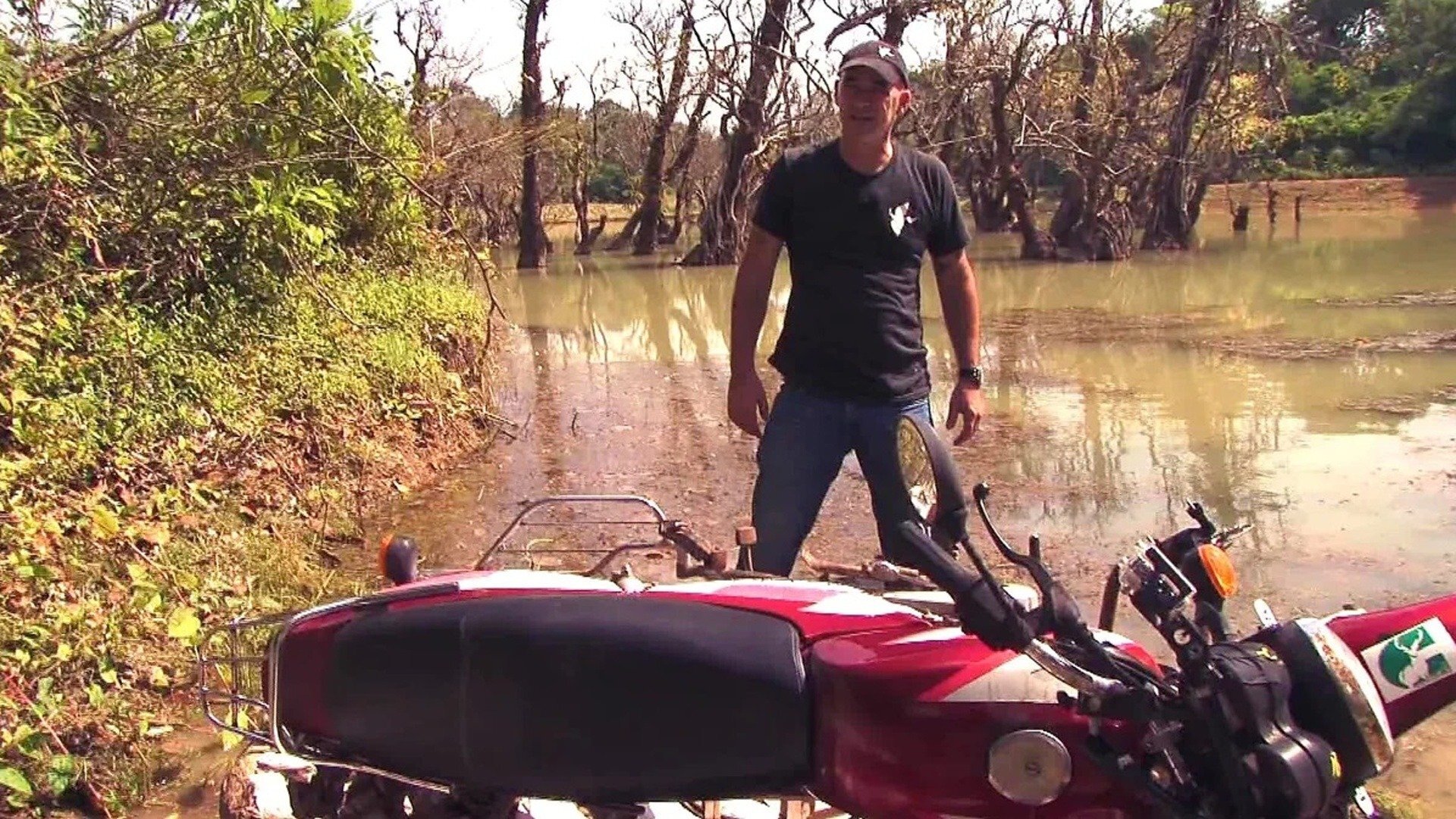 Rota Perigosa : Rum e Café