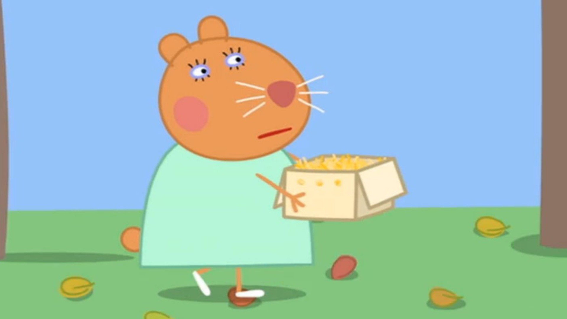 Peppa : A Tartaruga Levada!; As Sombras; O Dia Internacional; O Jogo do Dia Chuvoso!; O Barrigão da Senhora Coelho