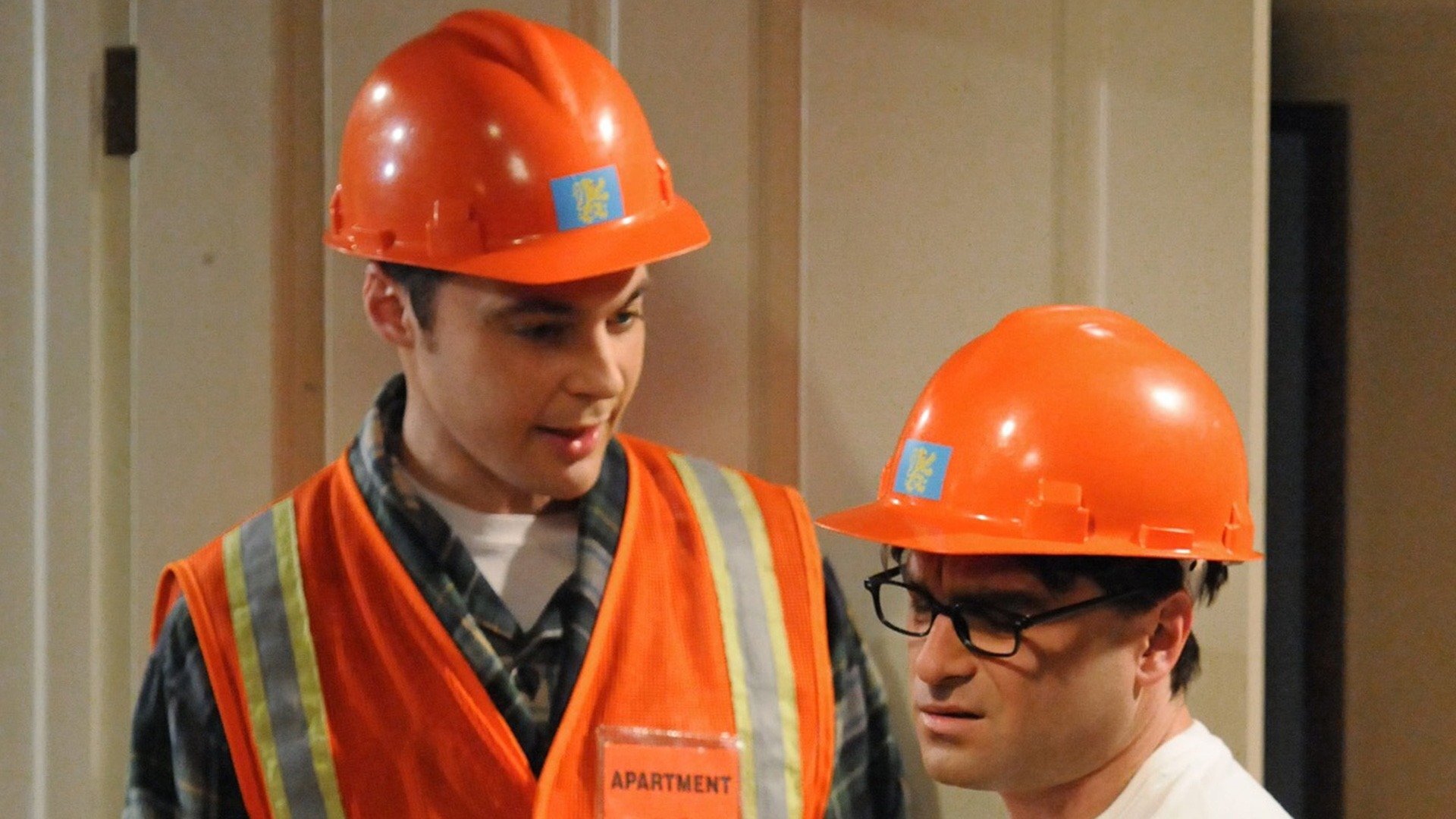 The Big Bang Theory : The Friendship Contraction