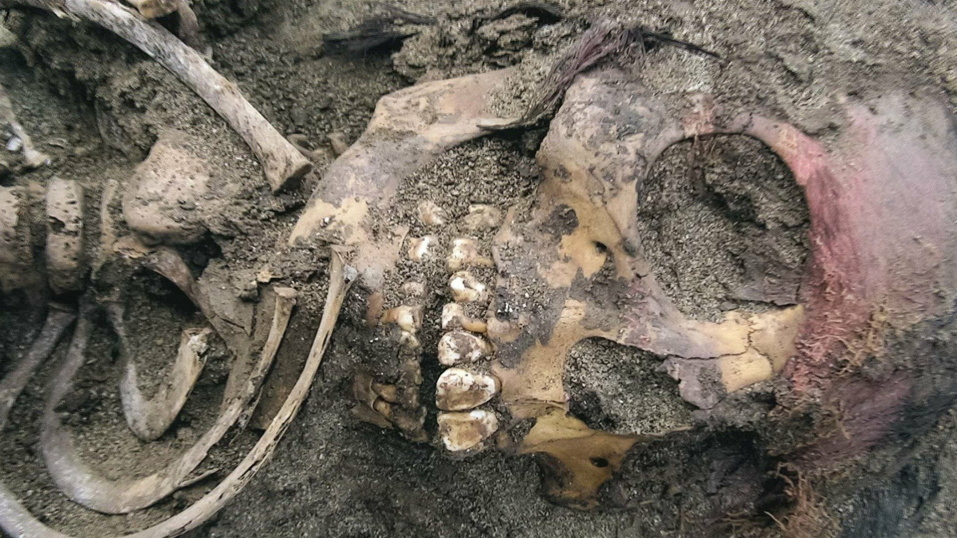 Desvendando o Passado : O Túmulo dos Crânios Vermelhos