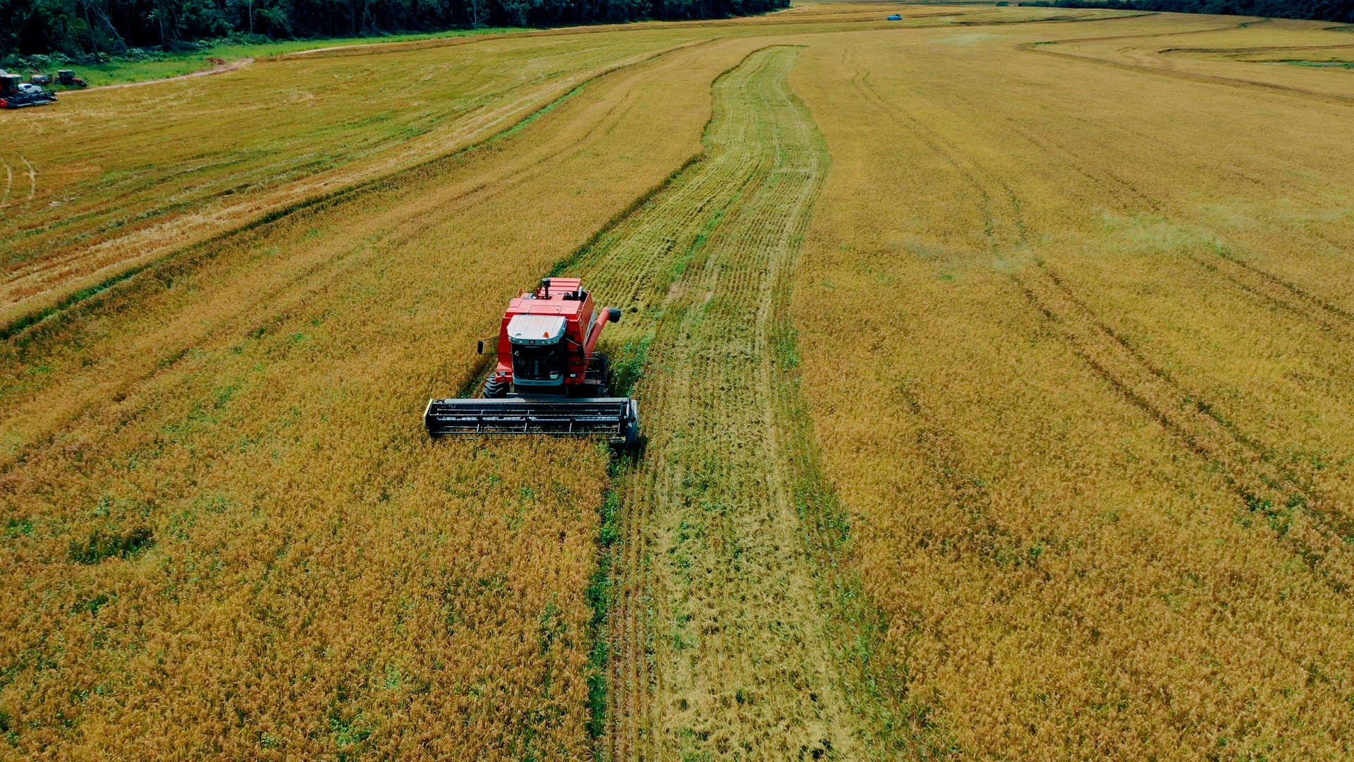 O Futuro do Agronegócio