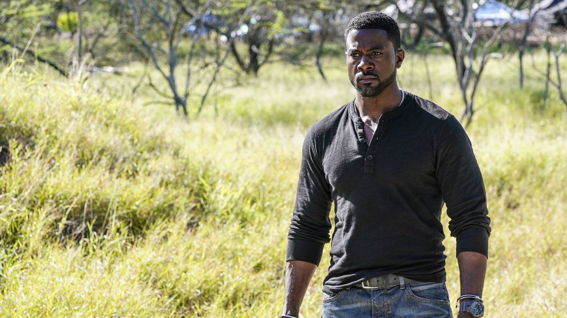 Hawaii Five-0 : He Cannot Be Caught for He Is an...