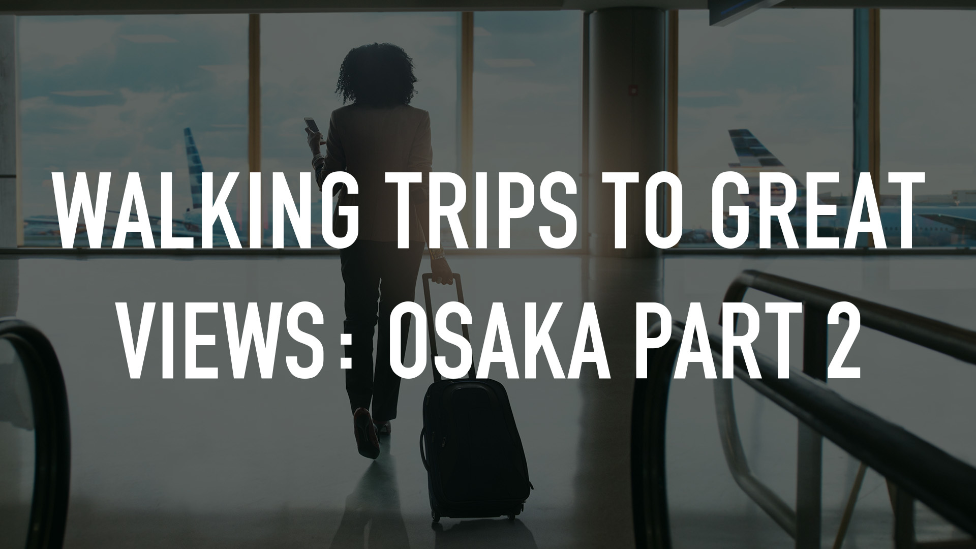 Walking Trips to Great Views: Osaka Part 2