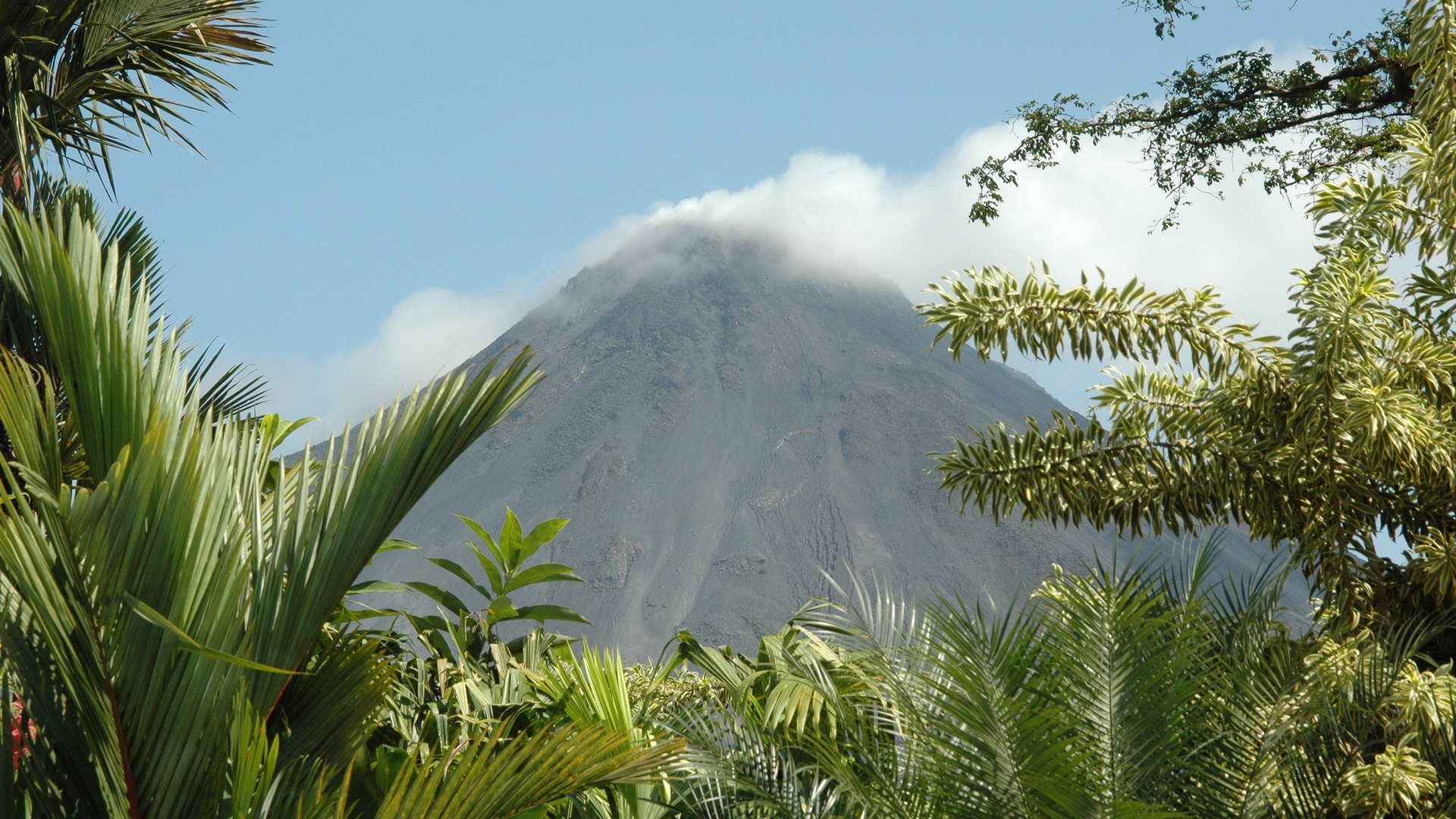 O Hotel Ideal : EP7 - New Orleans