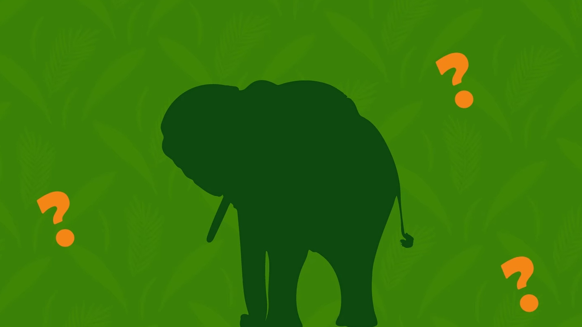 Que Animal É Esse? : T1 EP11 - Elefante