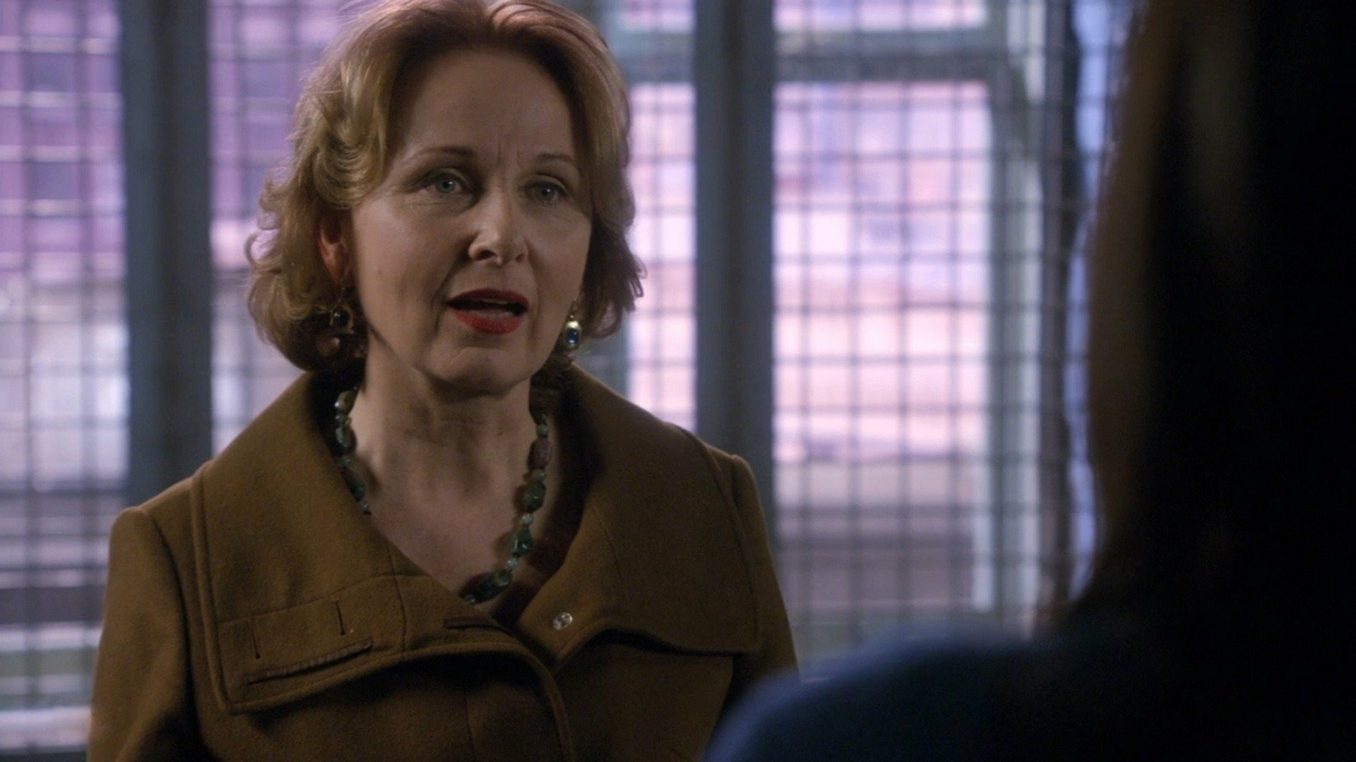 Law & Order: Special Victims Unit : Bully