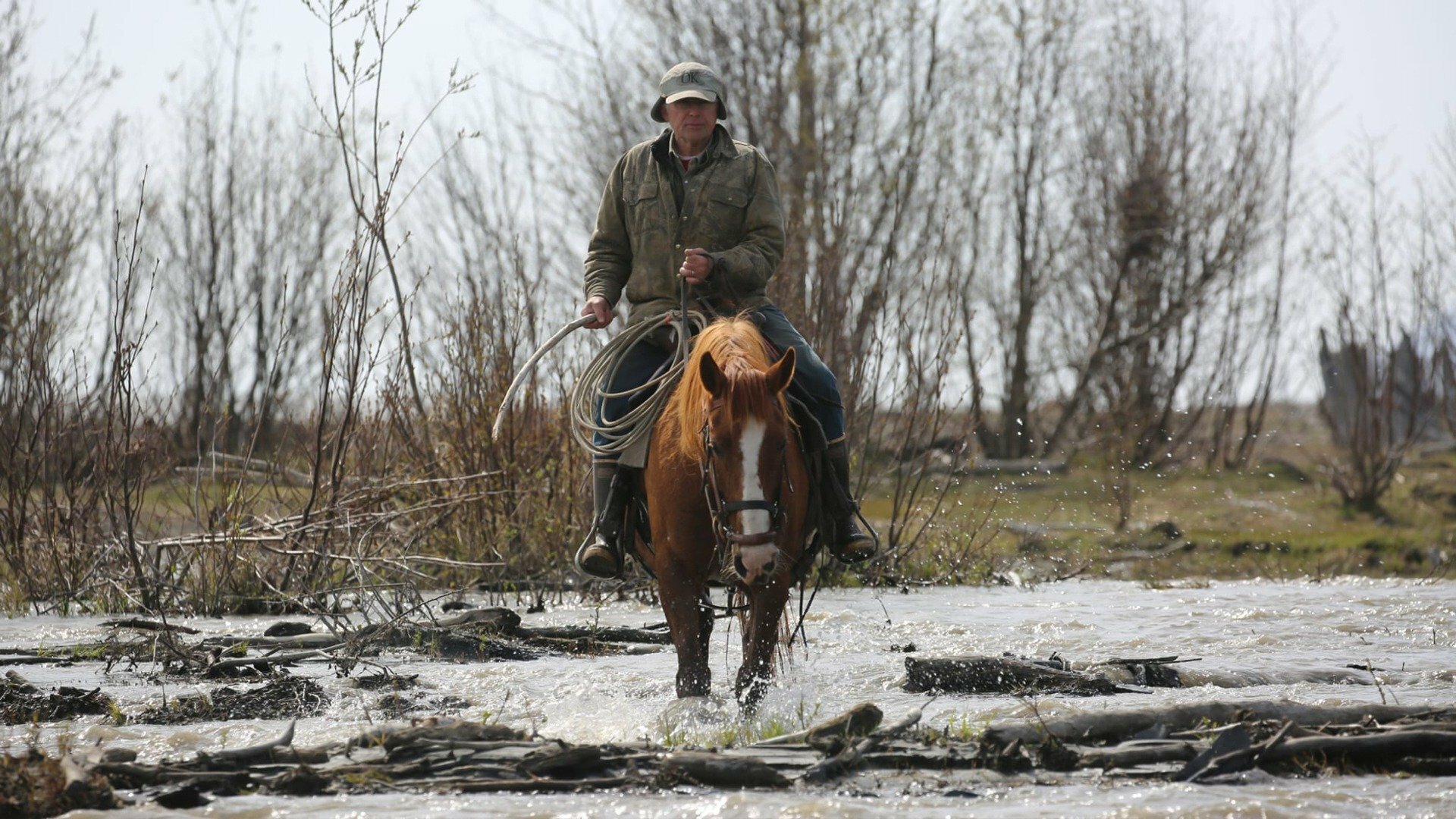 Alasca - A Última Fronteira : Pastagens Mais Verdes