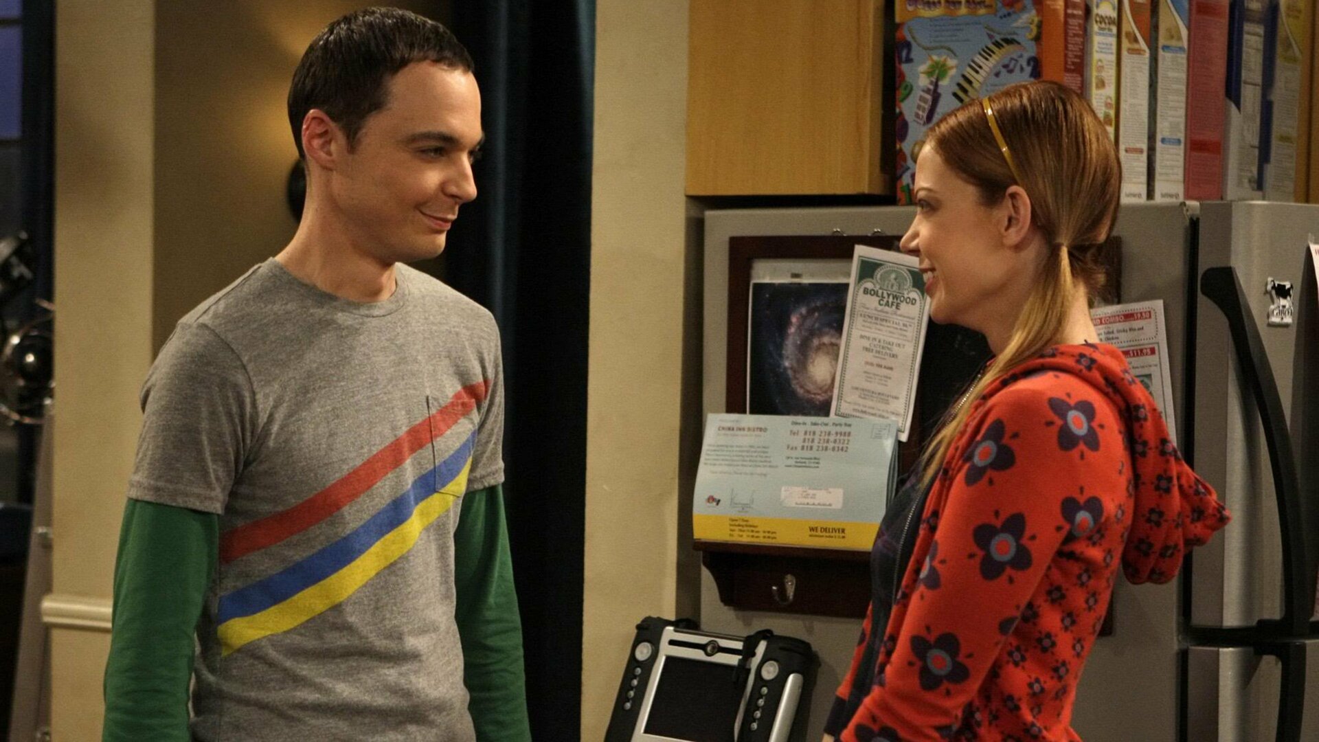 The Big Bang Theory : The Euclid Alternative