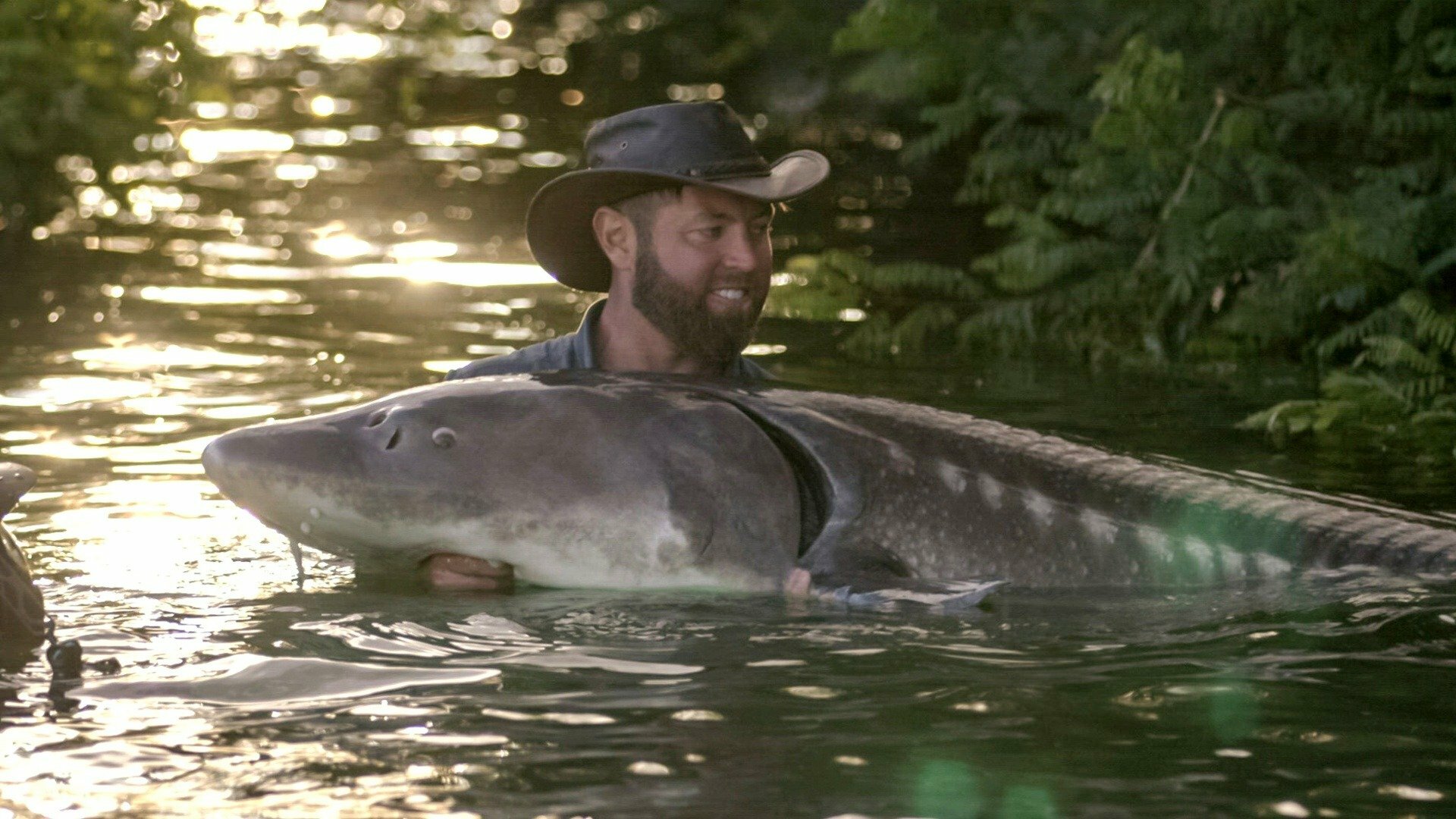 Criaturas Misteriosas com Forrest Galante : O Monstro do Lago