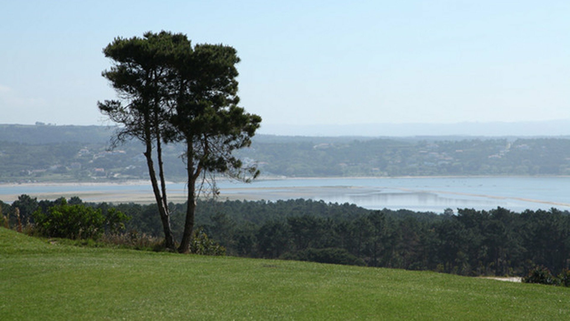 Golf Report