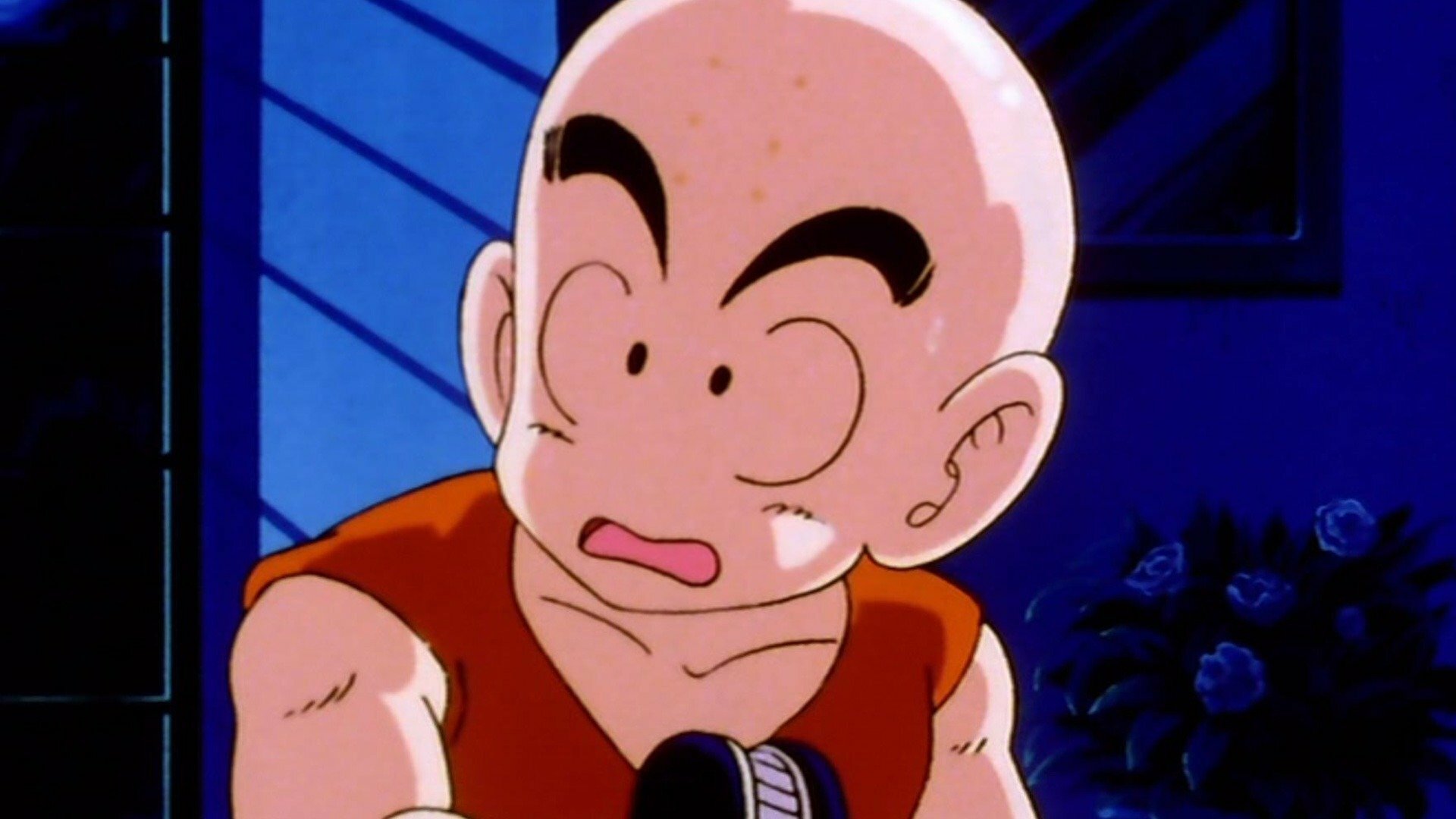 Dragon Ball Z : Uma Transformação por Causa da...
