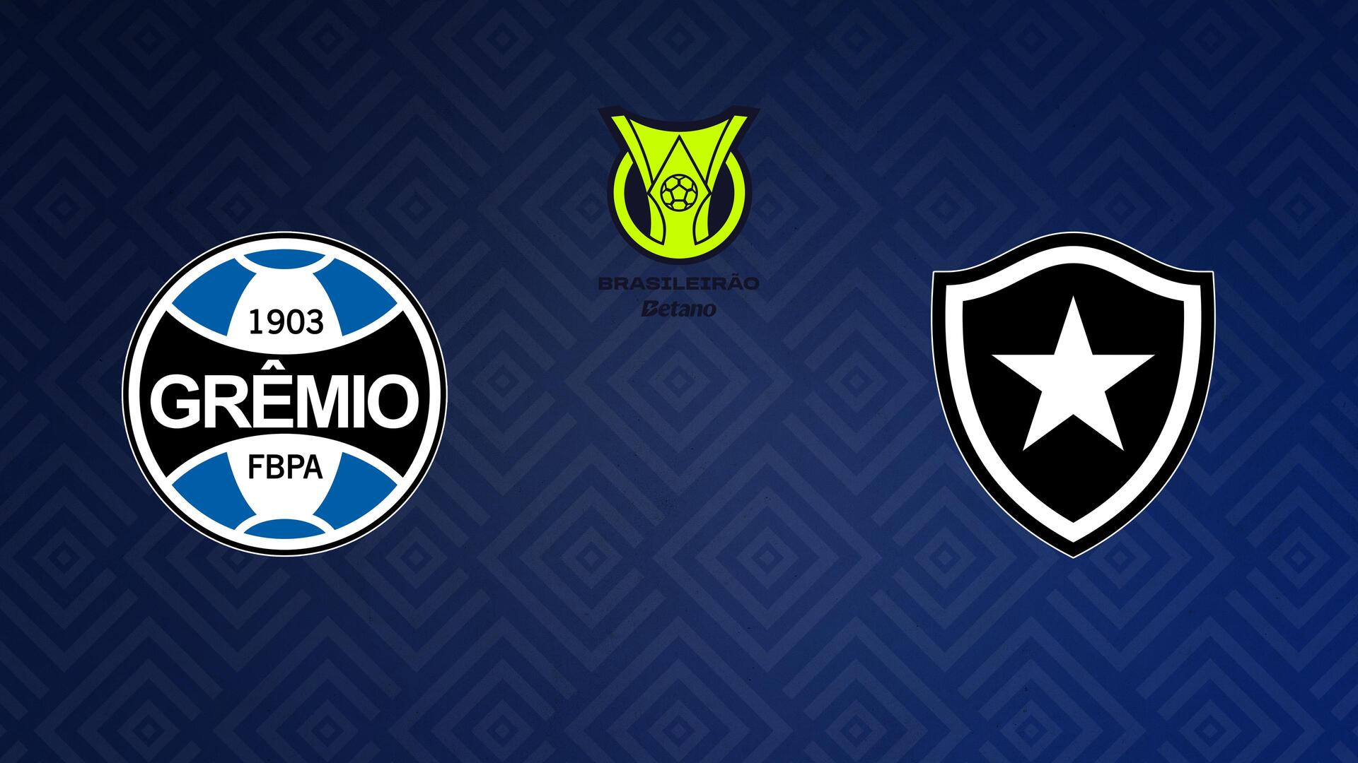 Grêmio x Botafogo - Campeonato Brasileiro : Grêmio x Botafogo