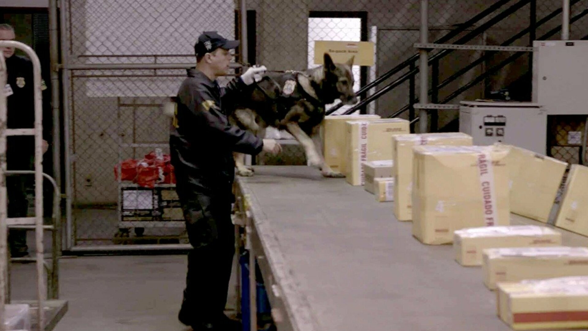 Aeroporto - Área Restrita : Fortaleza