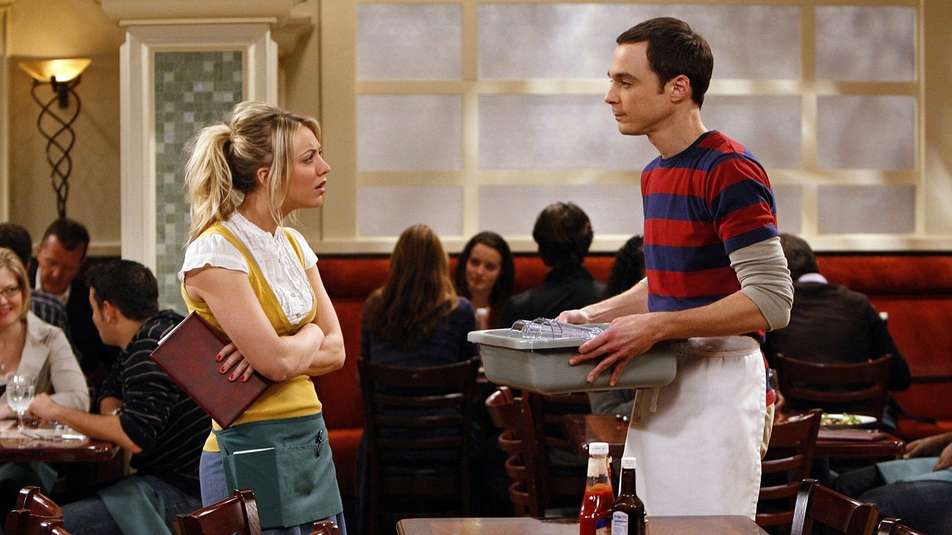 The Big Bang Theory : The Einstein Approximation