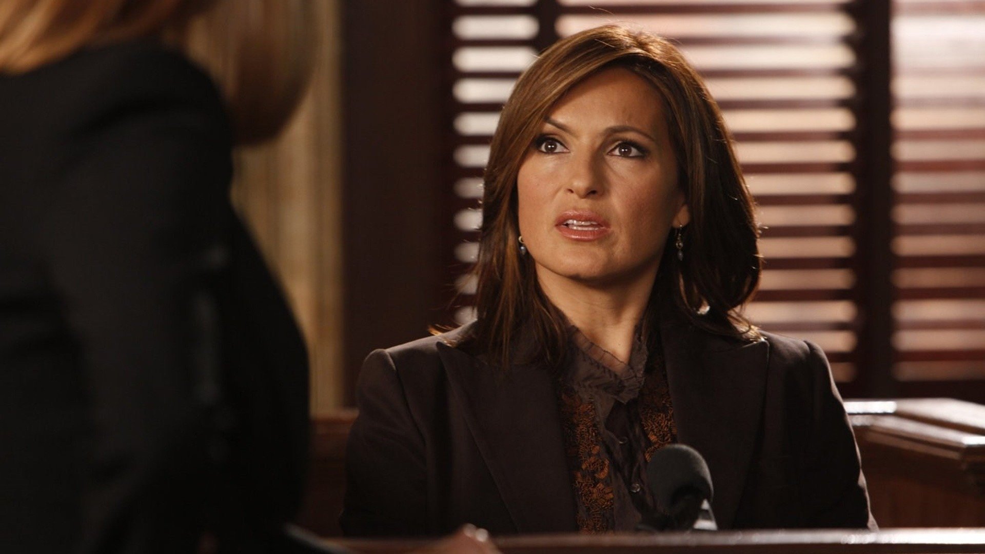 Law & Order: Special Victims Unit : Branded