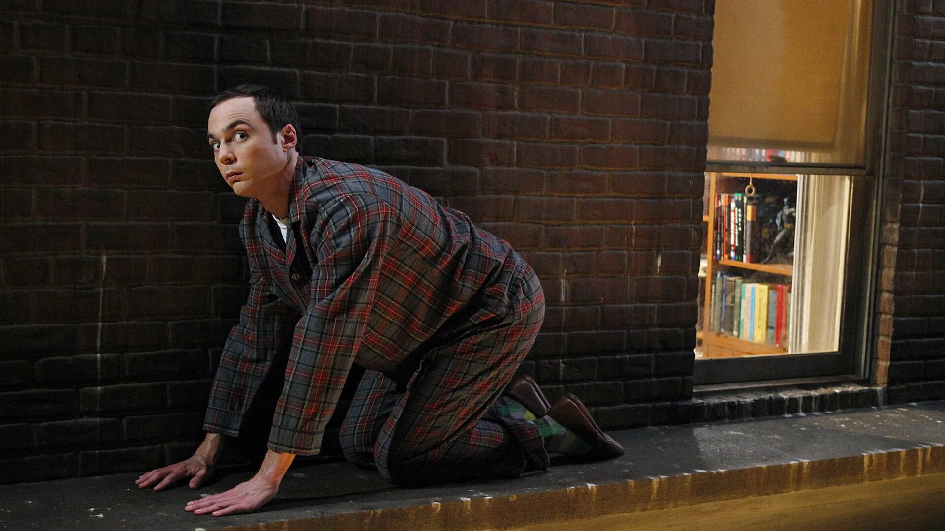 The Big Bang Theory : The Bozeman Reaction