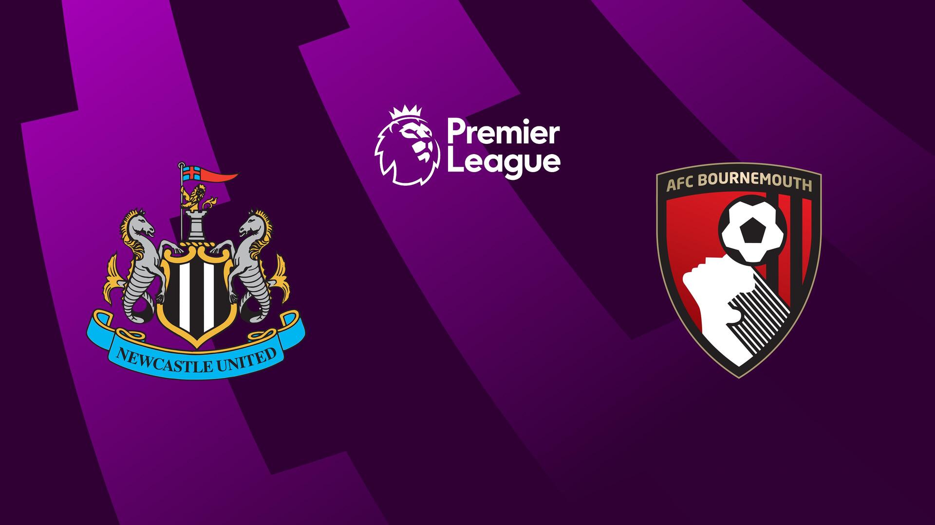 Newcastle United x Bournemouth - Campeonato Inglês : Newcastle United x Bournemouth