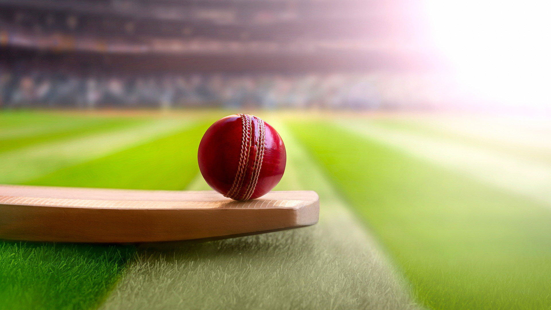 Semifinal - Copa do Mundo de Críquete Masculino T20 da ICC 2026 : Semifinal