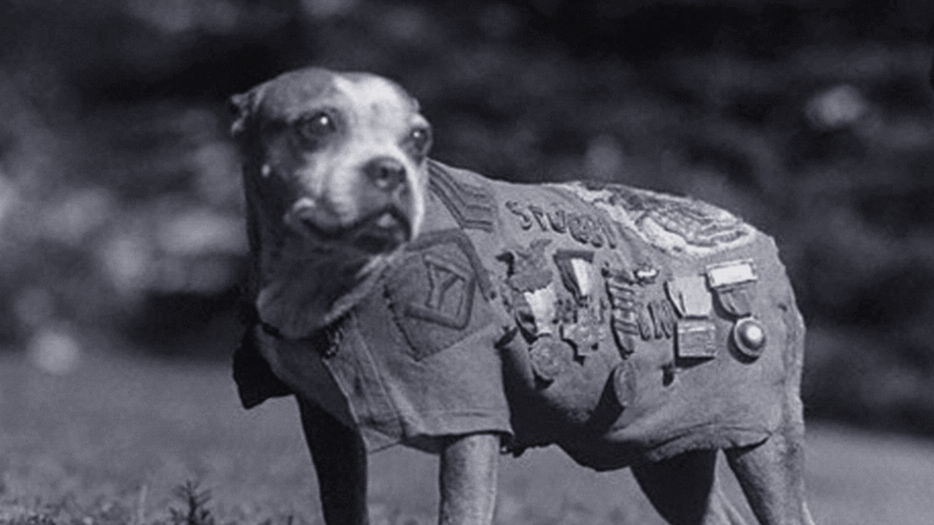 Inacreditável com Dan Aykroyd : Seres Fantásticos