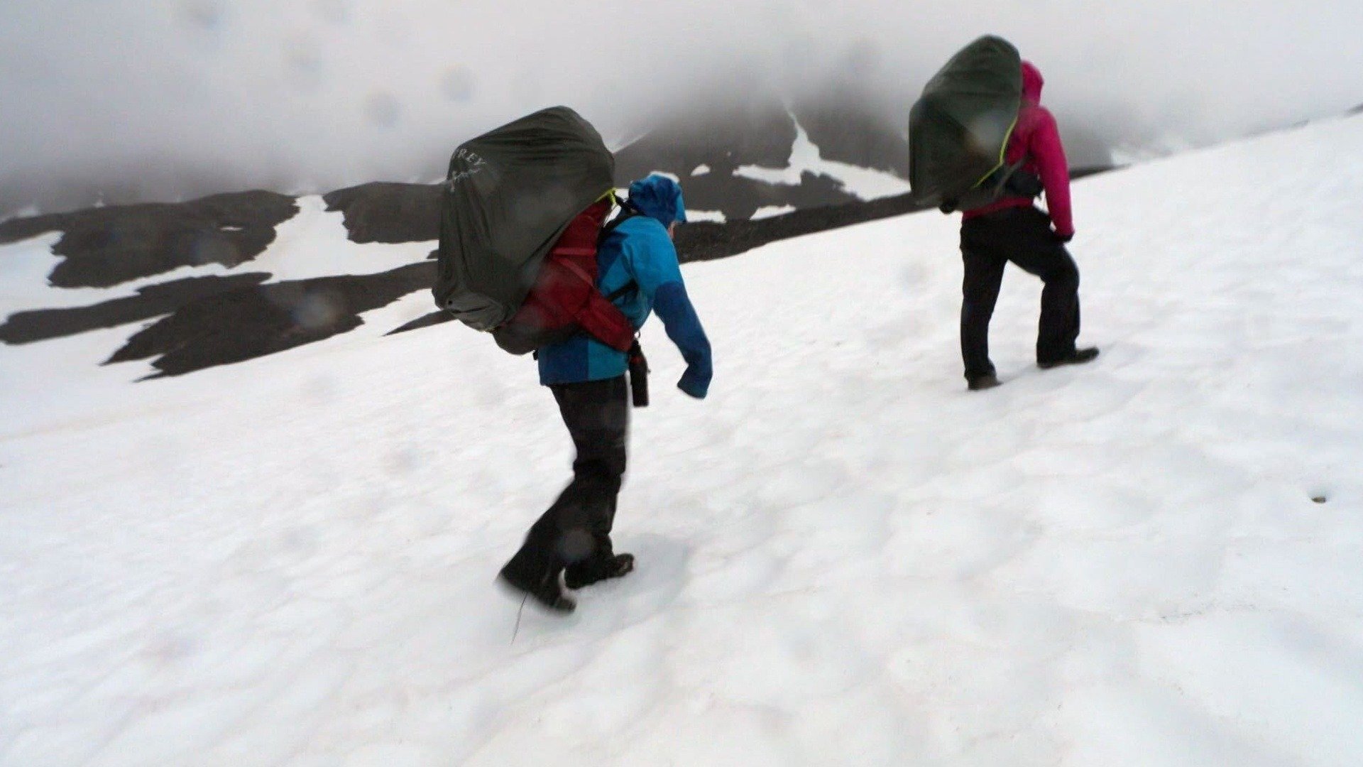 Race to Survive: Alaska